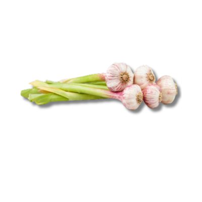 Ail avec tige biologique Ail avec tige biologique