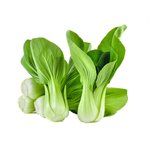Organic Baby Bok Choy Approx: 250g