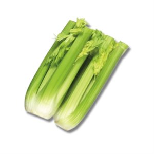 Coeur de Celeri biologique 1un