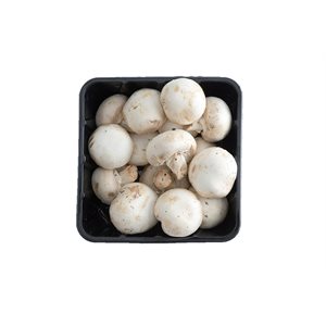 Organic White Mushrooms Pack 8ounces (227g)