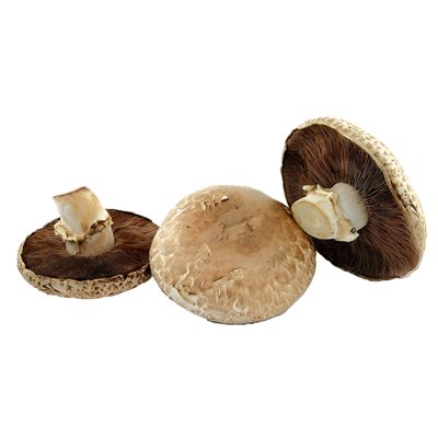 Organic Portobellini Mushroom Pack 340g