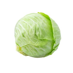 Organic Green Cabbage Approx: 1900g