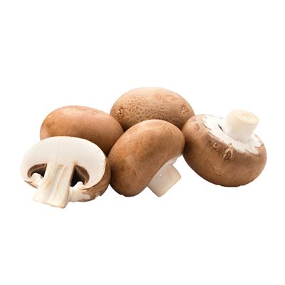 Champignon Café Biologiques 227g