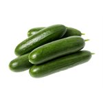 Concombre  libanais  Biologiques sac1lb