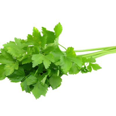 Organic Coriander 1 bunch