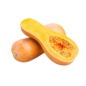 Organic Buttercup Squash 1 Unit Approx: 1500grams