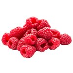 Framboises  Biologiques 170g