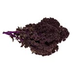 Organic Red Kale 1 bunch