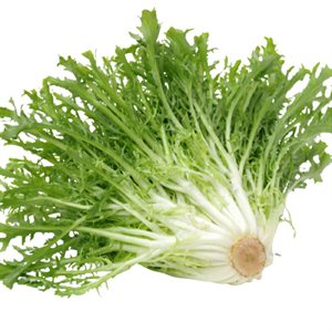 Organic Escarole Lettuce 1 bunch