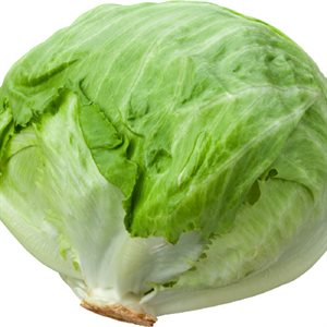 Organic Iceberg Lettuce 1 bunch