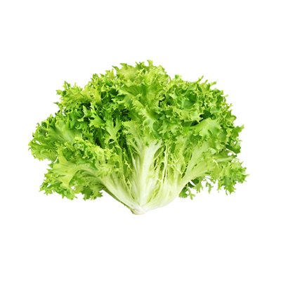 Organic Chicory Lettuce 1 bunch