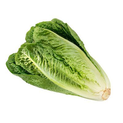 Organic Romaine Lettuce 1 bunch