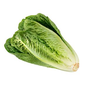 Organic Romaine Lettuce 1 bunch