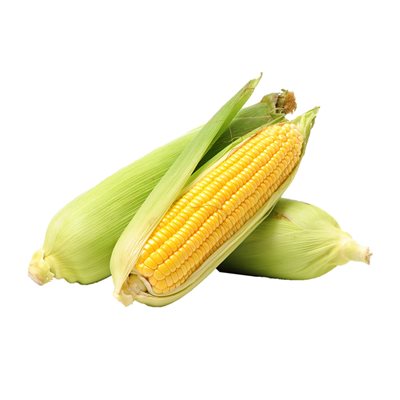 Organic Corn on the Cob 1 unit