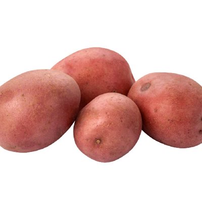 Organic Red Potatoes 5lb bag