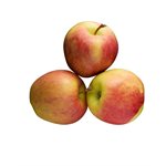 Pomme Ambrosia biologique sac 2lb