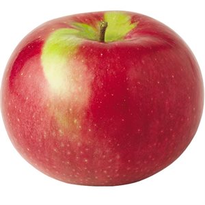 Organic Mcintosh Apples 1 Fruit Approx: 190grams