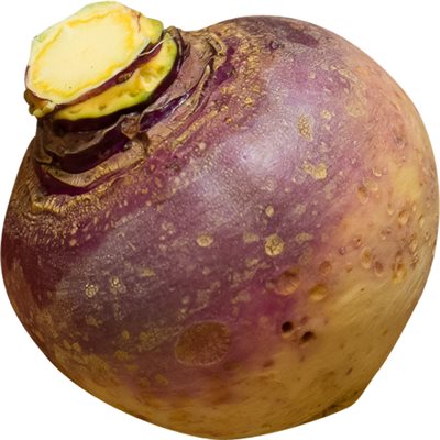 Organic Rutabaga 2lb bag