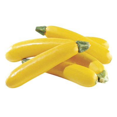 Organic Yellow Zucchini 1 unit