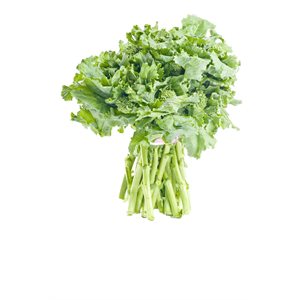 Organic Rapini Andyboy 1 bunch