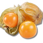 Cerises de Terre Biologiques 170g