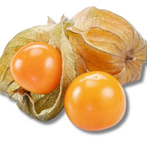 Cerises de Terre Biologiques 170g