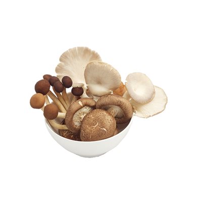 Champignon Mix Biologiques