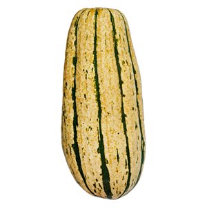 Organic Delicata Squash Approx: 300g