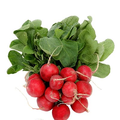 Radis biologiques 1 paquet 340g