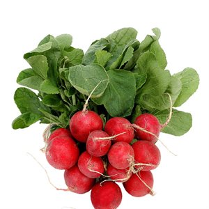 Radis biologiques 1 paquet 340g