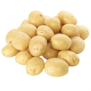 Organic Yellow Potatoes 5lb bag