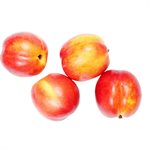 Nectarines blanc biologiques sac 2lb