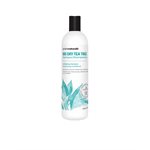 Big Sky    -   Shampoo 500 ml