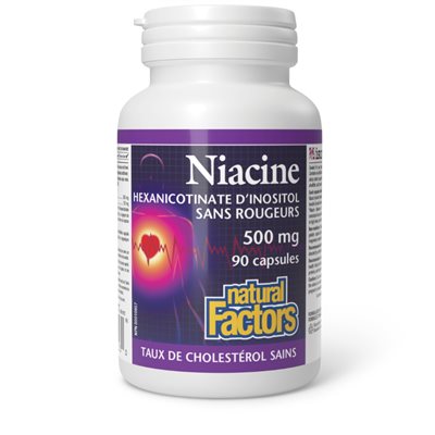 Natural Factors Niacin Inositol Hexanicotinate Flush Free 500 mg 90 Capsules