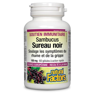 Natural Factors Sureau noir Extrait normalisé 100 mg 60 gélules