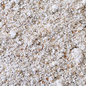 Bulk Organic Whole Rye Flour Approx:100g