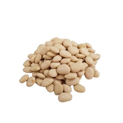 Feves Blanches Navy Bio Vrac Env:100g