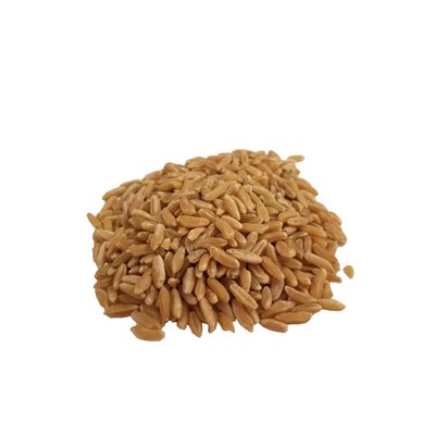 Bulk Organic Kamut Grains Approx:100g