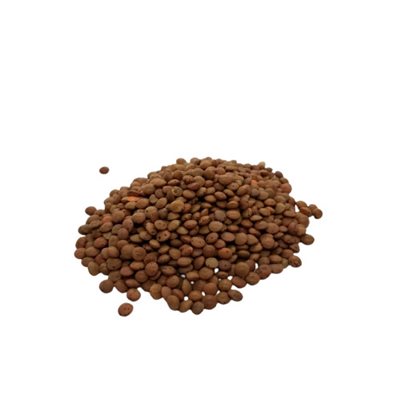 Bulk Organic Browns Lentils Approx:100g