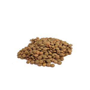 Lentilles Vertes Bio Vrac Env:100g