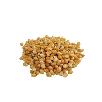 Bulk Organic Popcorn Approx:100g