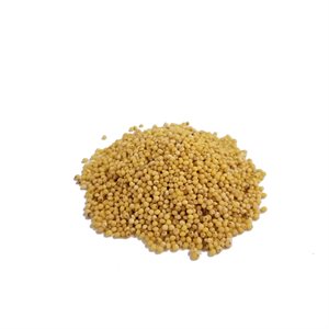 Millet Decortique Bio Vrac Env:100g