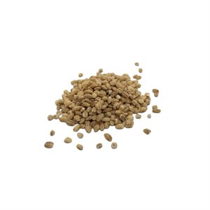 Orge Monde Bio Vrac Env:100g