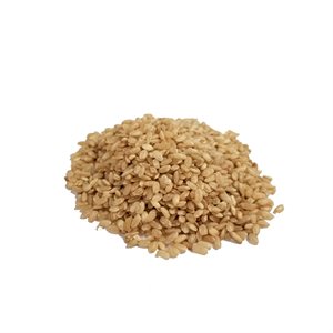 Riz Brun Court Bio Vrac Env:100g