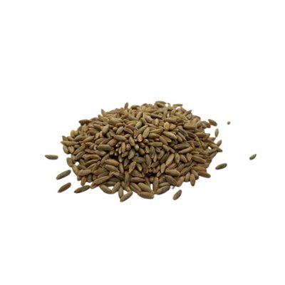 Bulk Organic Rye Kernel Approx:100g