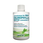 Land Art Chlorophyll(E) Menthe  5X 500ml