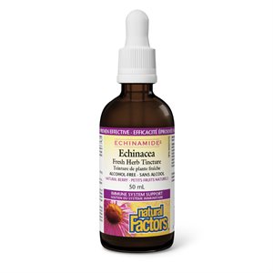 Natural Factors Echinacea Fresh Herb Tincture Alcohol-Free 50 mL Tincture Natural Berry