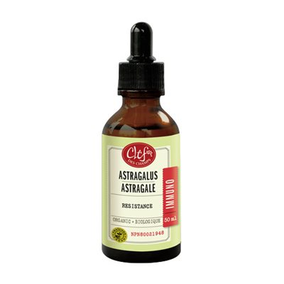 ASTRAGALUS Tincture Organic 50 ml