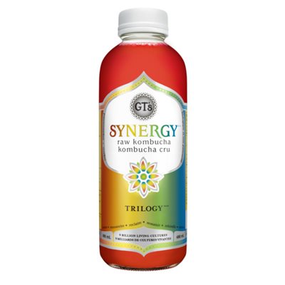 GT's Living Foods Synergy Kombucha Trilogy 480 ml 