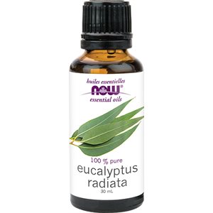 Huile D'Eucalyptus Radiata 30Ml